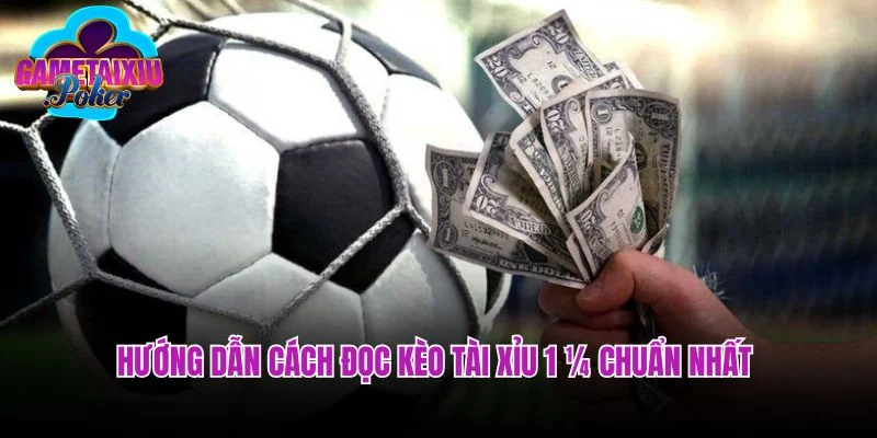 Hướng dẫn cách đọc kèo tài xỉu 1 ¼ chuẩn nhất 