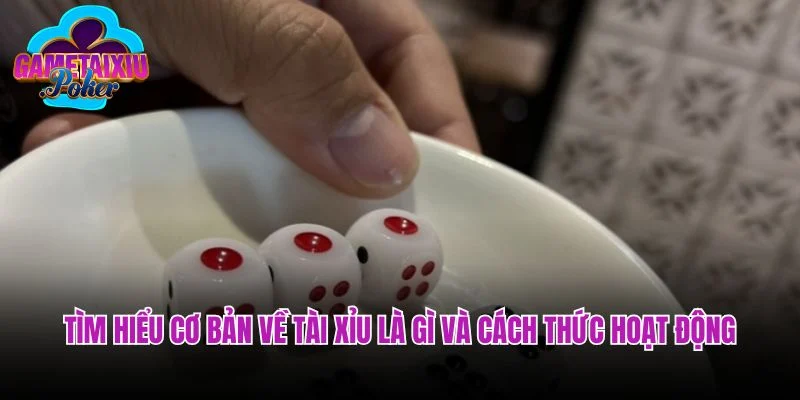 Tìm hiểu cơ bản về tài xỉu là gì và cách thức hoạt động
