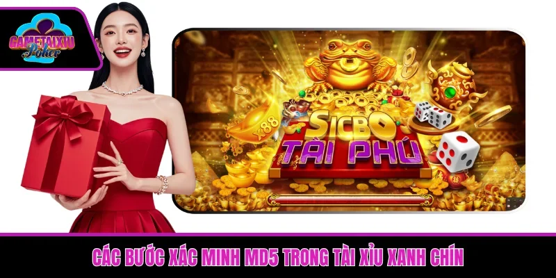 Các bước xác minh MD5 trong Tài Xỉu xanh chín